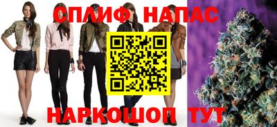 крисы Дубна