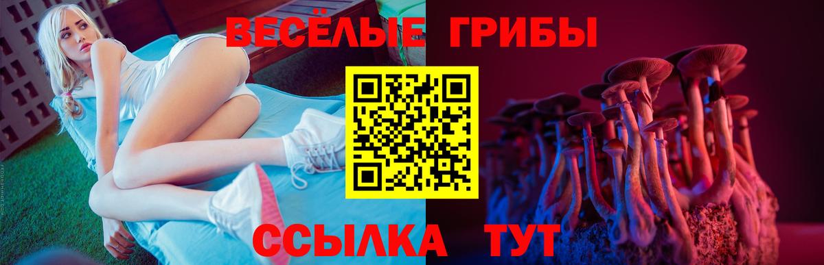 Галлюциногенные грибы Magic Shrooms  Галлюциногенные грибы GOLDEN TEACHER  Мценск  Вход с VPN 